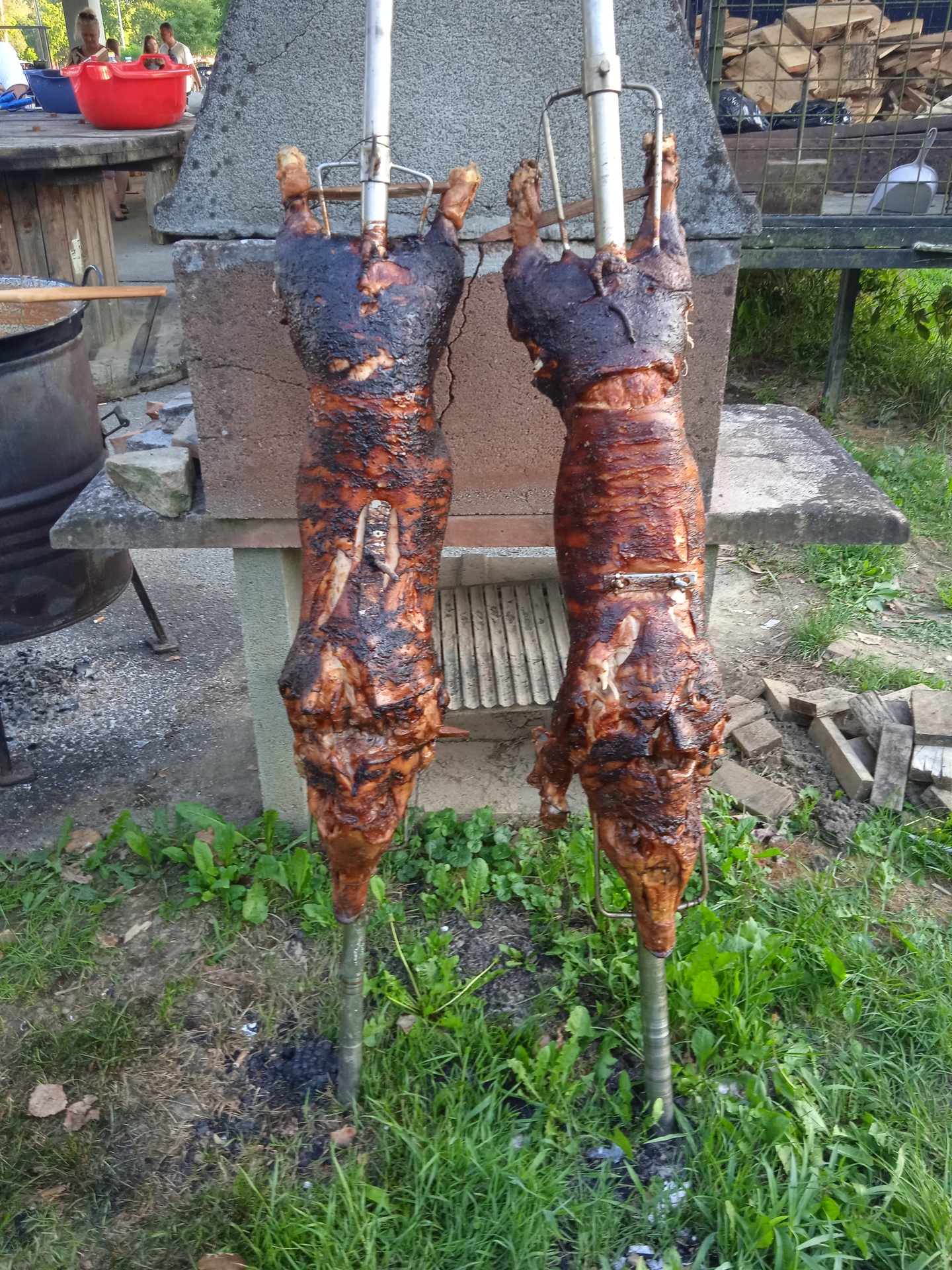 Binom pečenki
